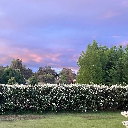 Mudgee Guesthouse Exterior foto